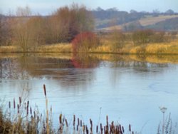 One of the ponds at the wetlands Wallpaper