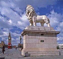 Lion, Westminster Bridge Wallpaper