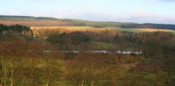 Longridge Fell