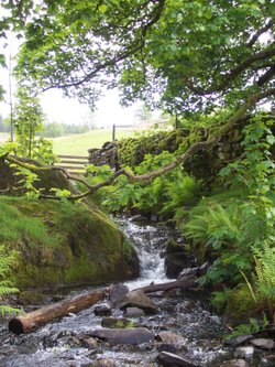 Near the Drunken Duck Ambleside