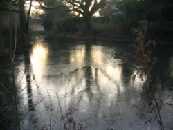 Basingstoke Canal - very cold morning walk Wallpaper