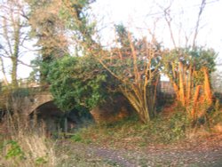 Basingstoke Canal, Up Nately Wallpaper