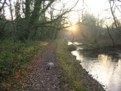 Basingstoke Canal Wallpaper