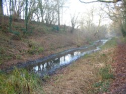 Basingstoke Canal Wallpaper