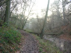 Basingstoke Canal Wallpaper