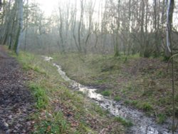 Basingstoke Canal Wallpaper