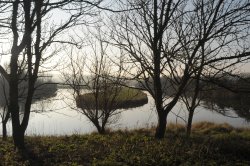 A picture of Seven Sisters Country Park Wallpaper