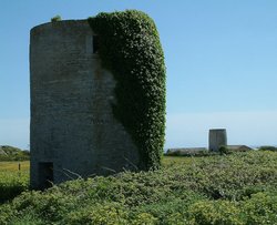 Remains of Tower Mills Wallpaper