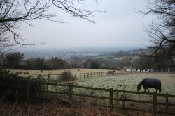 View from Cleeve Hill New Years Day 2009