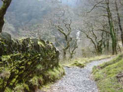 Near Watersmeet Wallpaper