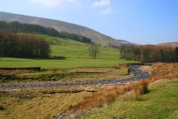 Trough of Bowland Wallpaper