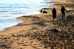 South Shields Beach.