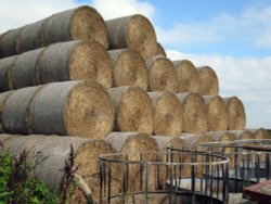 Hay bales