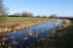 Grantham Canal Wallpaper