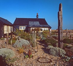 Jarman's Garden, Dungeness, Kent Wallpaper