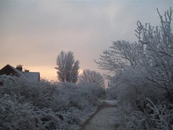 Frosty  morning