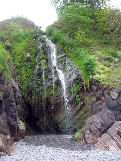 Clovelly Bay