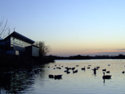 Sunset over Attenborough Nature Reserve Wallpaper