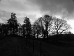 the coffin trail near Rydal Hall Ambleside Wallpaper