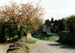 Hutton-le-Hole, North York Moors National Park Wallpaper