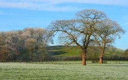 Ribchester