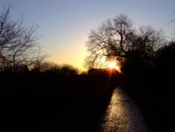 Footpath to a perfect sunset at Attenborough Wallpaper