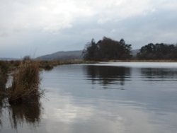 Lake Windermere from Birdhouse Meadow, Ambleside Wallpaper