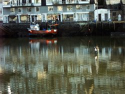 Fishing in Looe Harbour Wallpaper