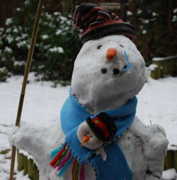 Freshly built snowman!