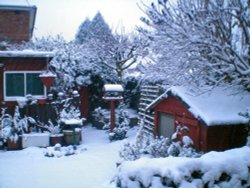 Snow covered back garden Wallpaper