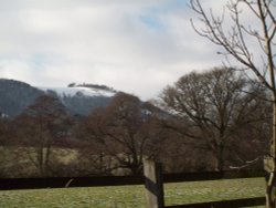 Snow on Chanctonbury Ring Wallpaper