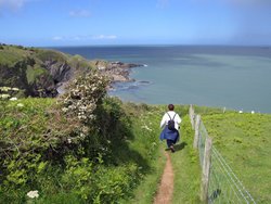 South West Coast path from Ilfracombe to Combe Martin Bay Wallpaper