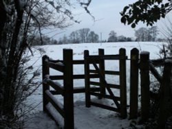 Snow through the gate Wallpaper