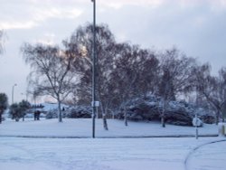 Snowy Sudbury - February 2009 Wallpaper