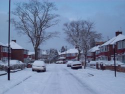 Snowy Sudbury - February 2009 Wallpaper