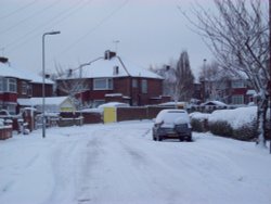 Snowy Sudbury - February 2009 Wallpaper