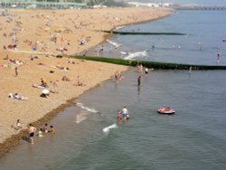 Beach from Brighton Pier Wallpaper