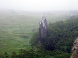 Visit to Lundy Island Wallpaper