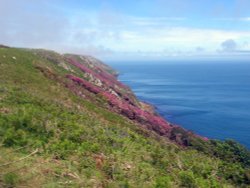 Visit to Lundy Island Wallpaper