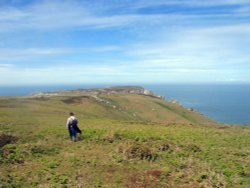 Visit to Lundy Island Wallpaper