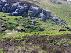 Visit to Lundy Island Wallpaper