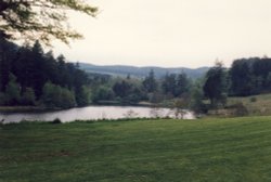 A picture of Cragside Wallpaper