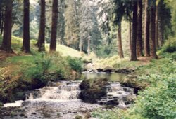 A picture of Cragside Wallpaper