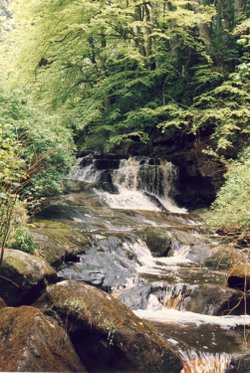 A picture of Cragside