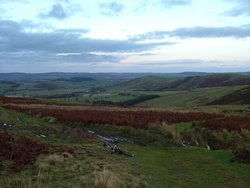 A view of the Breamish Valley from the track on Ewe Hill