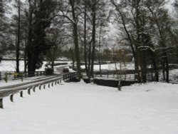 Bradgate Park Wallpaper