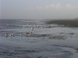 Winter scene at Cleveleys Wallpaper