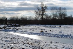 Cossington Meadows Wallpaper