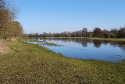 Harrold Odell Country Park Wallpaper