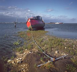 On the Medway Estuary at Sharps Green, Lower Rainham Wallpaper